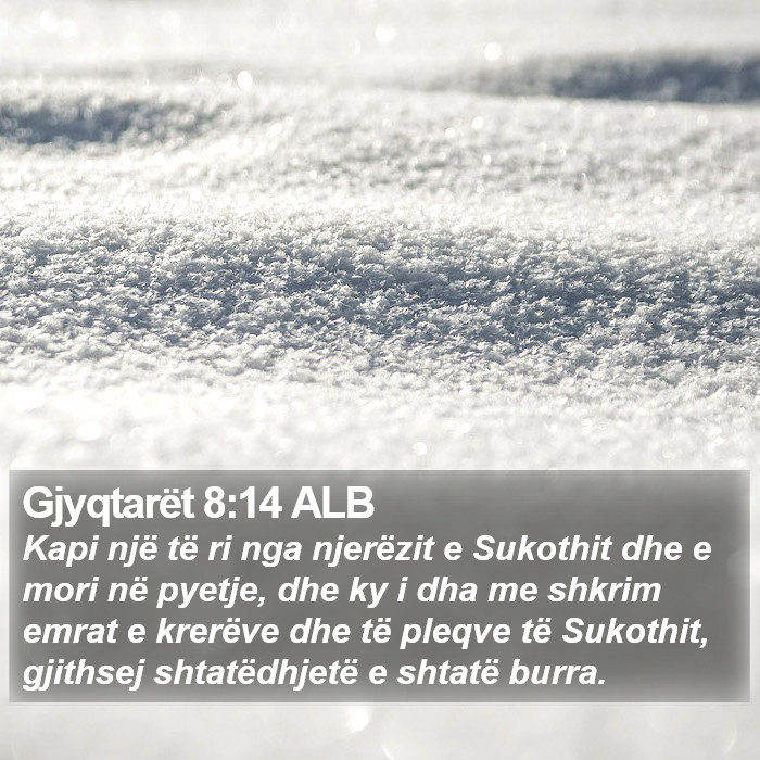 Gjyqtarët 8:14 ALB Bible Study