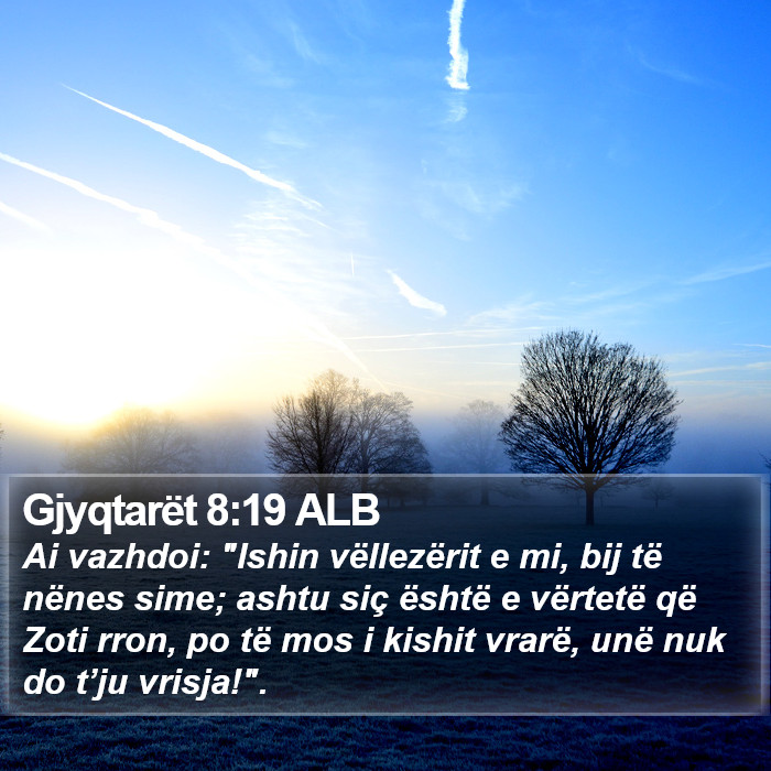 Gjyqtarët 8:19 ALB Bible Study