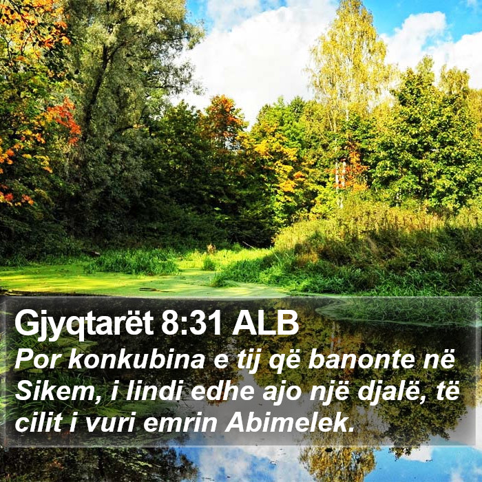 Gjyqtarët 8:31 ALB Bible Study