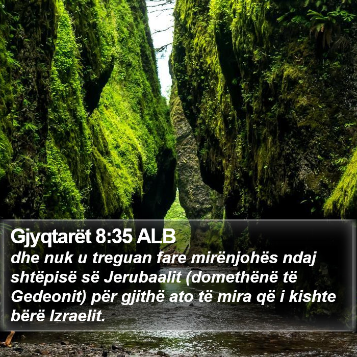 Gjyqtarët 8:35 ALB Bible Study