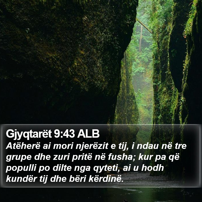 Gjyqtarët 9:43 ALB Bible Study