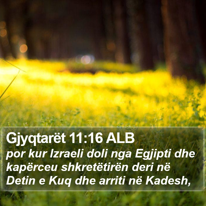 Gjyqtarët 11:16 ALB Bible Study