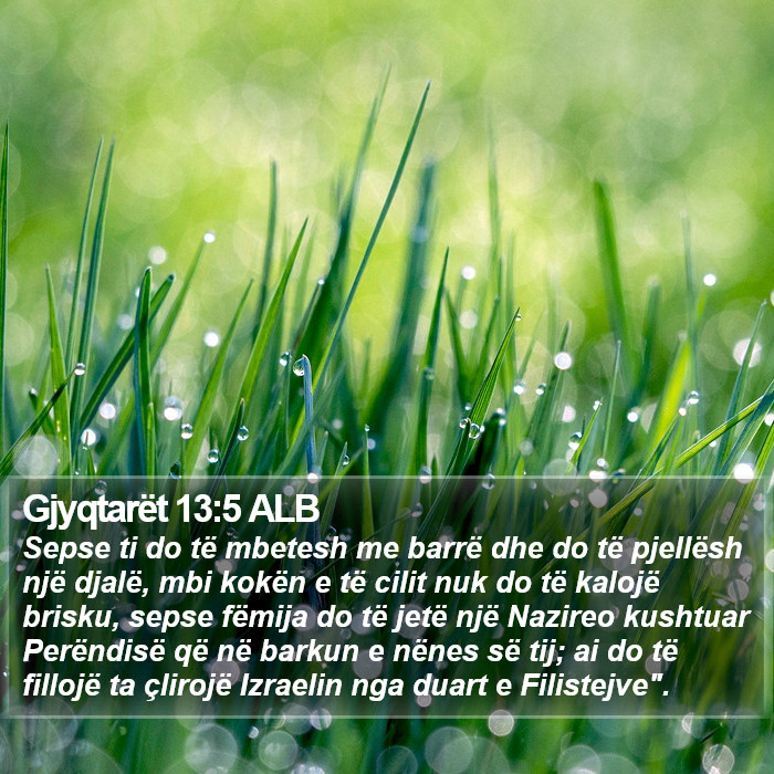 Gjyqtarët 13:5 ALB Bible Study