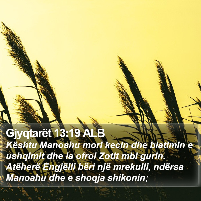 Gjyqtarët 13:19 ALB Bible Study