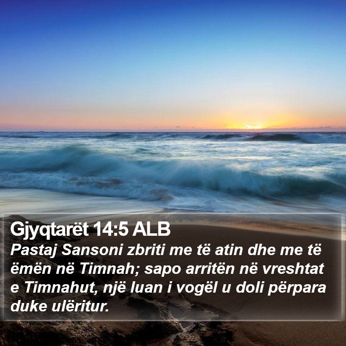 Gjyqtarët 14:5 ALB Bible Study