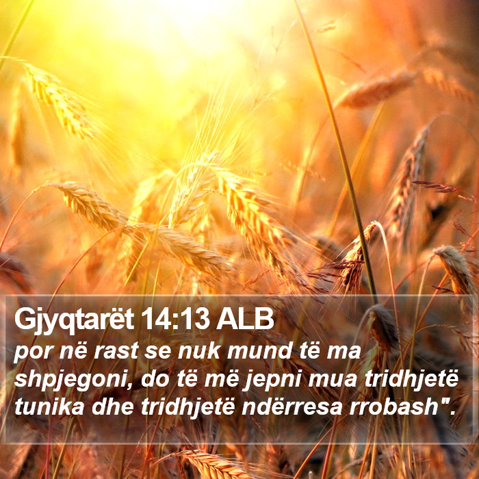 Gjyqtarët 14:13 ALB Bible Study