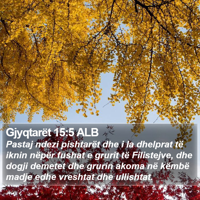 Gjyqtarët 15:5 ALB Bible Study