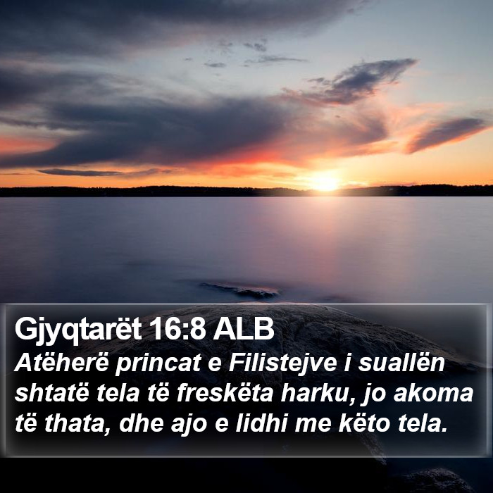 Gjyqtarët 16:8 ALB Bible Study