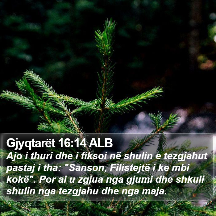 Gjyqtarët 16:14 ALB Bible Study