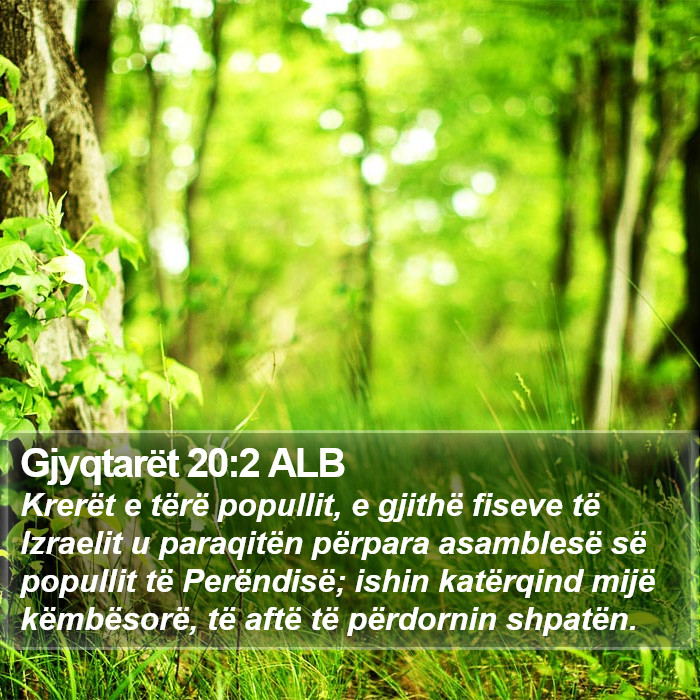 Gjyqtarët 20:2 ALB Bible Study