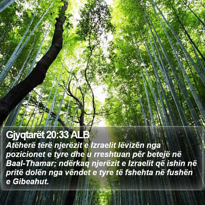 Gjyqtarët 20:33 ALB Bible Study