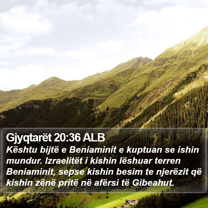 Gjyqtarët 20:36 ALB Bible Study