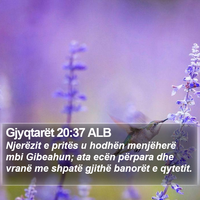 Gjyqtarët 20:37 ALB Bible Study