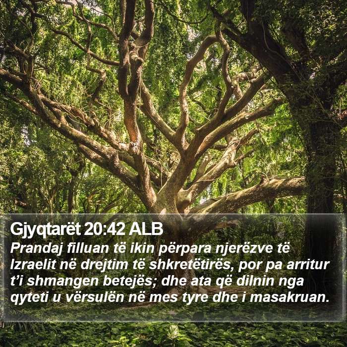 Gjyqtarët 20:42 ALB Bible Study