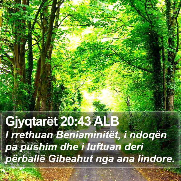 Gjyqtarët 20:43 ALB Bible Study