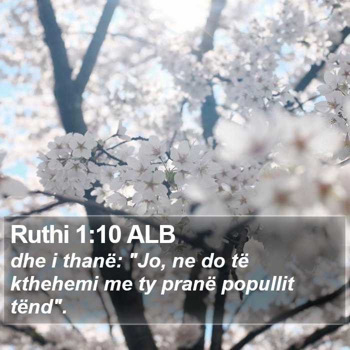 Ruthi 1:10 ALB Bible Study