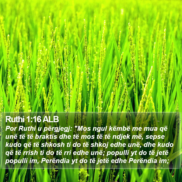 Ruthi 1:16 ALB Bible Study