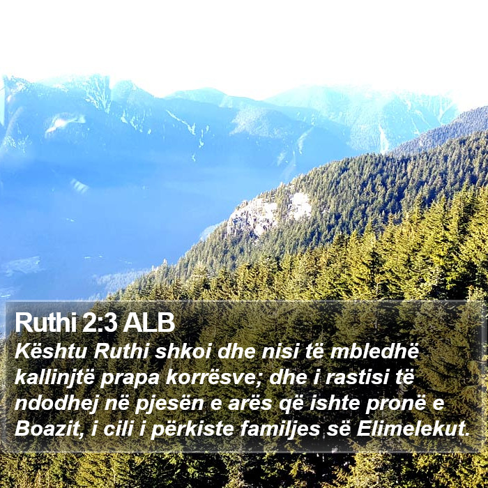 Ruthi 2:3 ALB Bible Study