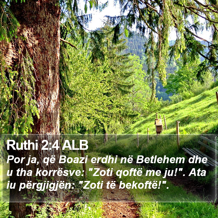 Ruthi 2:4 ALB Bible Study