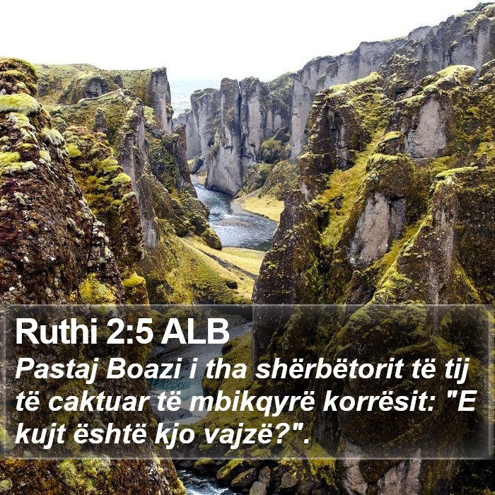 Ruthi 2:5 ALB Bible Study