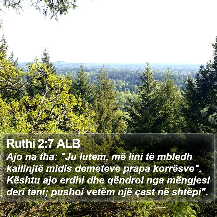 Ruthi 2:7 ALB Bible Study