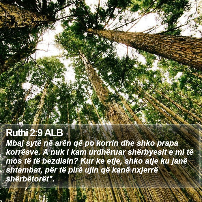 Ruthi 2:9 ALB Bible Study