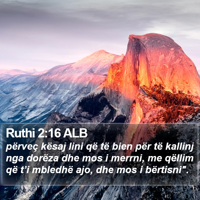 Ruthi 2:16 ALB Bible Study