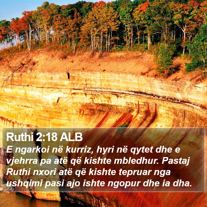 Ruthi 2:18 ALB Bible Study