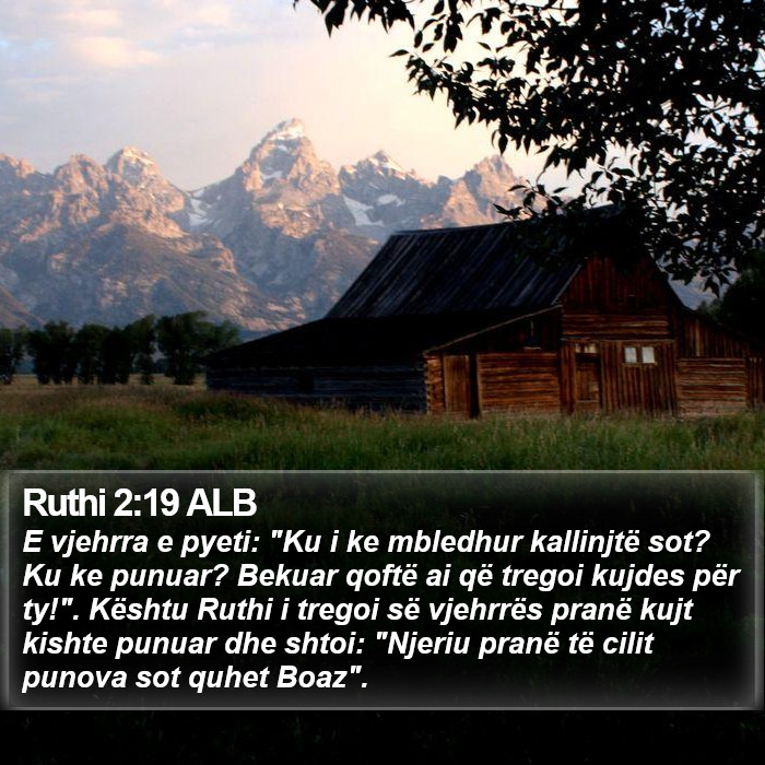 Ruthi 2:19 ALB Bible Study