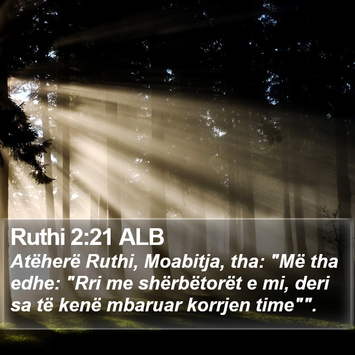 Ruthi 2:21 ALB Bible Study