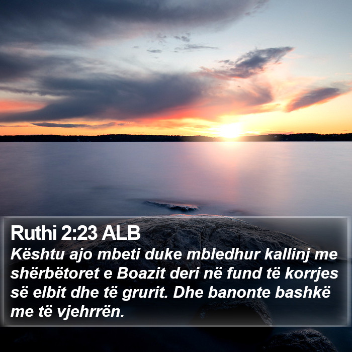 Ruthi 2:23 ALB Bible Study