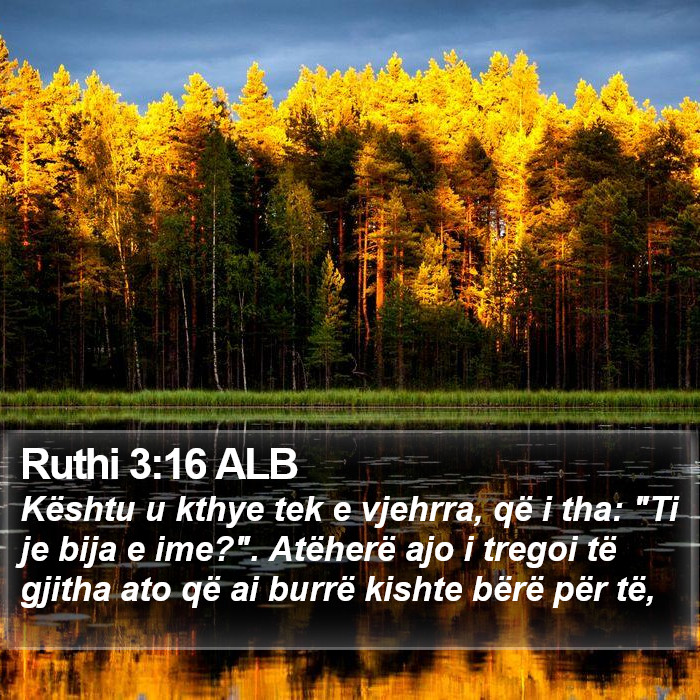 Ruthi 3:16 ALB Bible Study