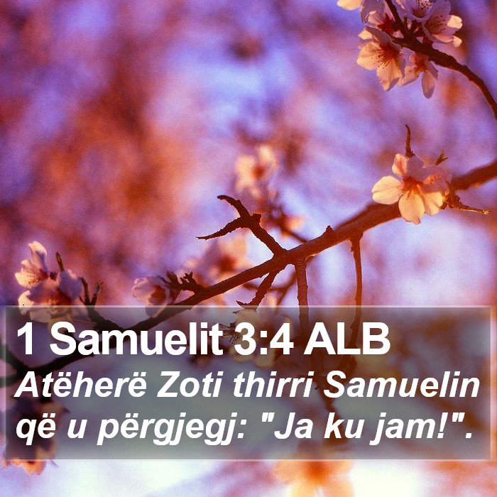 1 Samuelit 3:4 ALB Bible Study