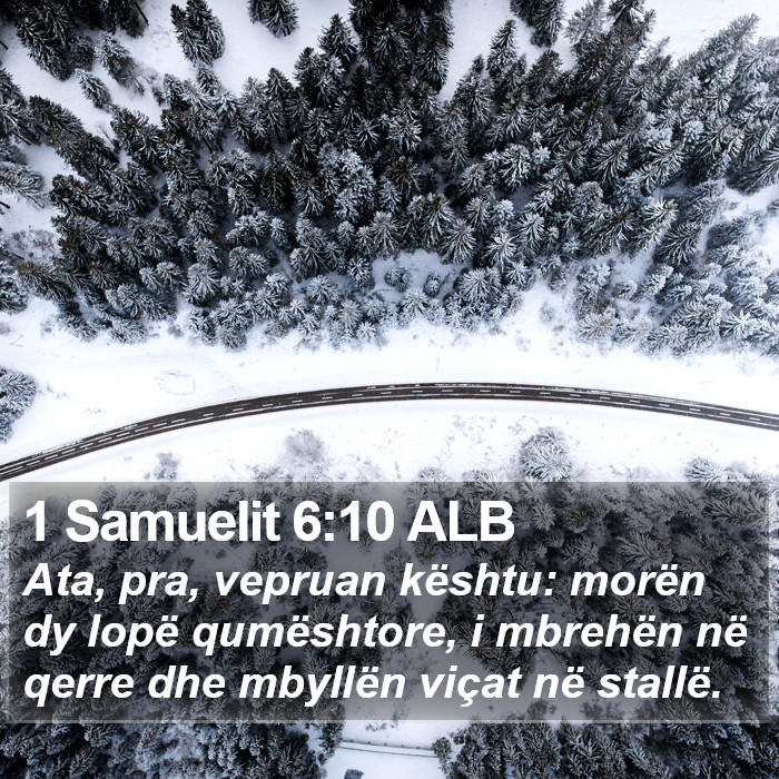 1 Samuelit 6:10 ALB Bible Study