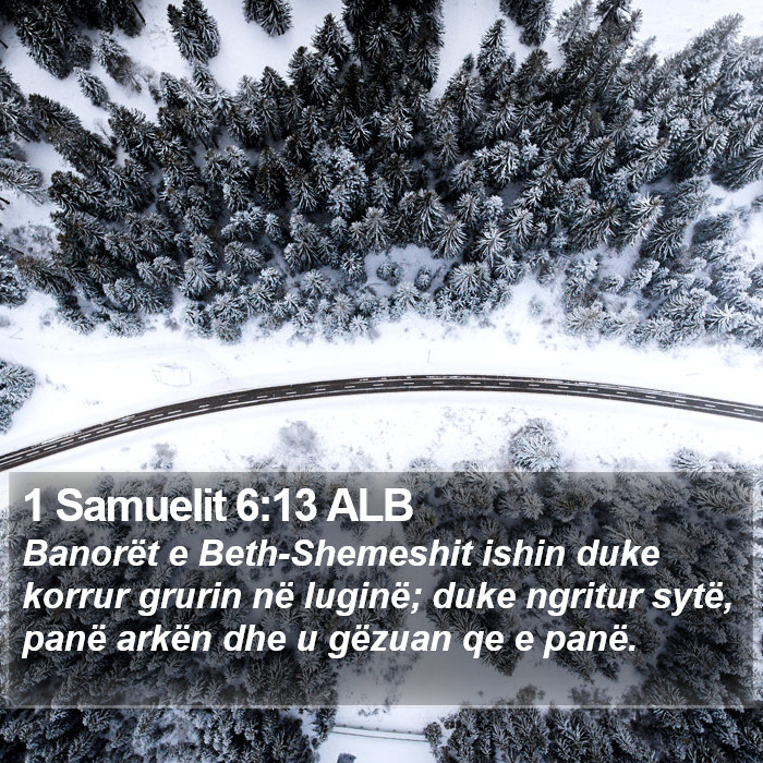 1 Samuelit 6:13 ALB Bible Study