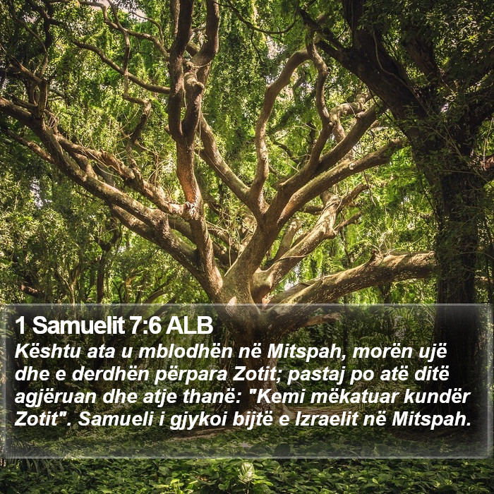 1 Samuelit 7:6 ALB Bible Study