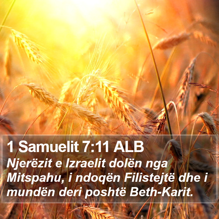 1 Samuelit 7:11 ALB Bible Study