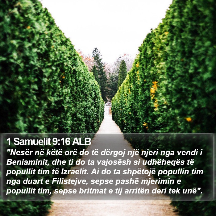 1 Samuelit 9:16 ALB Bible Study