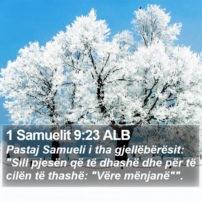 1 Samuelit 9:23 ALB Bible Study