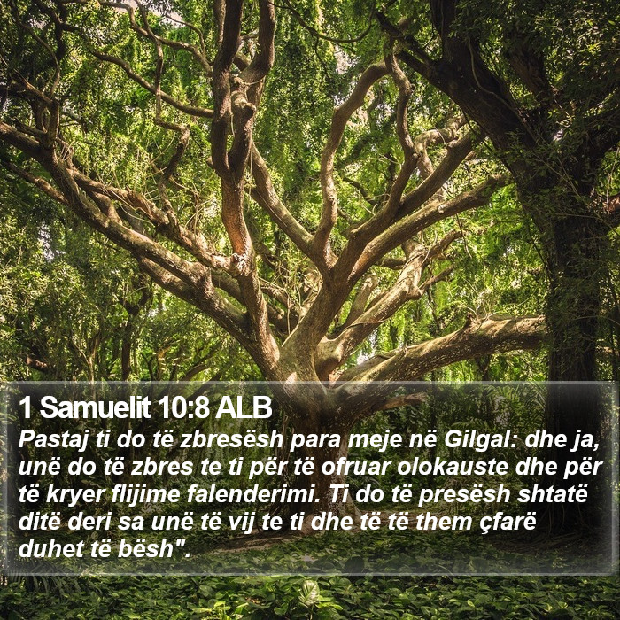 1 Samuelit 10:8 ALB Bible Study