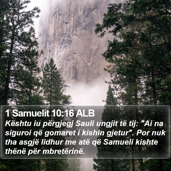 1 Samuelit 10:16 ALB Bible Study