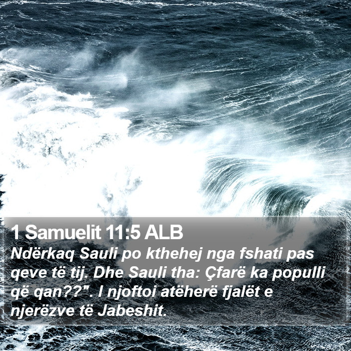 1 Samuelit 11:5 ALB Bible Study