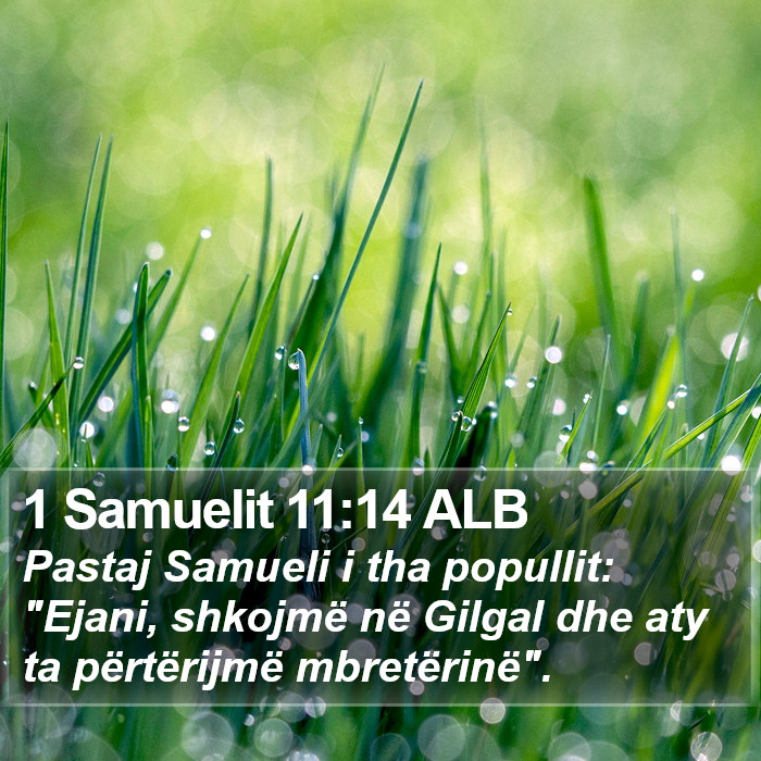 1 Samuelit 11:14 ALB Bible Study