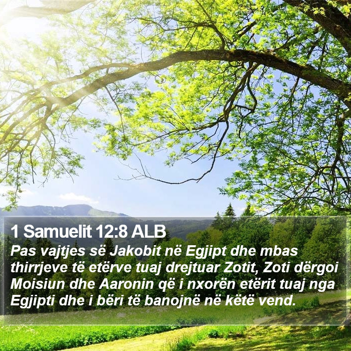 1 Samuelit 12:8 ALB Bible Study