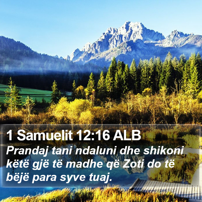 1 Samuelit 12:16 ALB Bible Study
