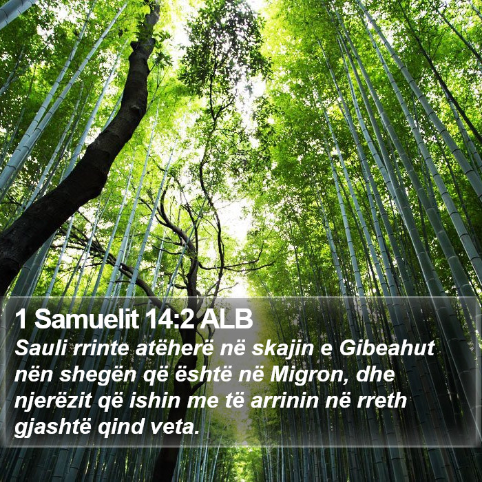 1 Samuelit 14:2 ALB Bible Study