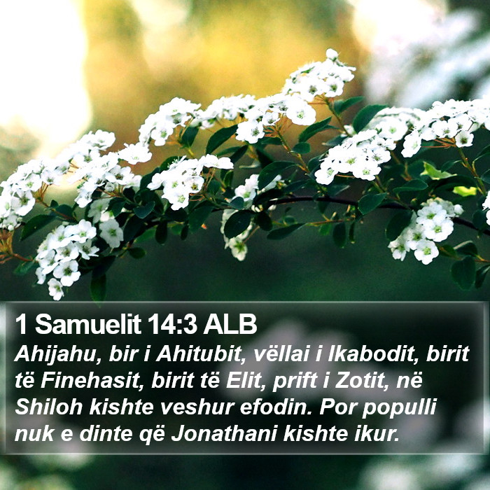 1 Samuelit 14:3 ALB Bible Study