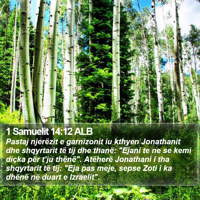 1 Samuelit 14:12 ALB Bible Study