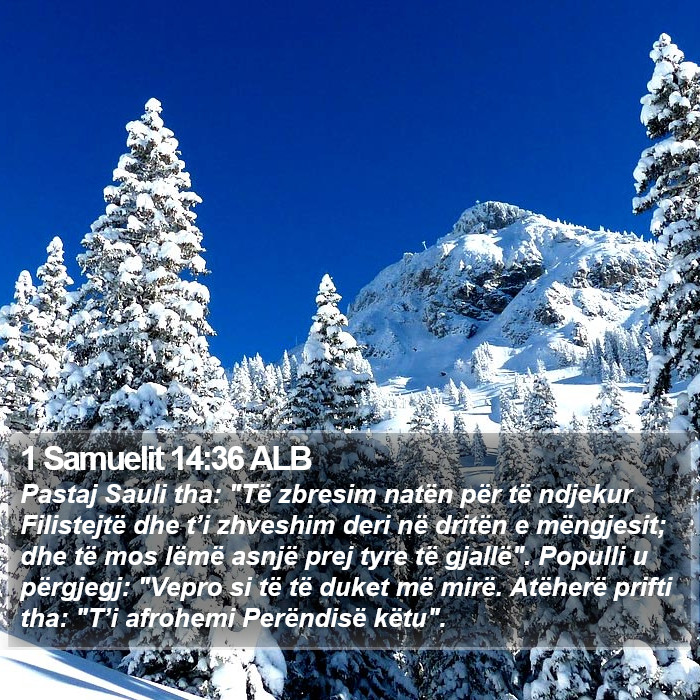 1 Samuelit 14:36 ALB Bible Study