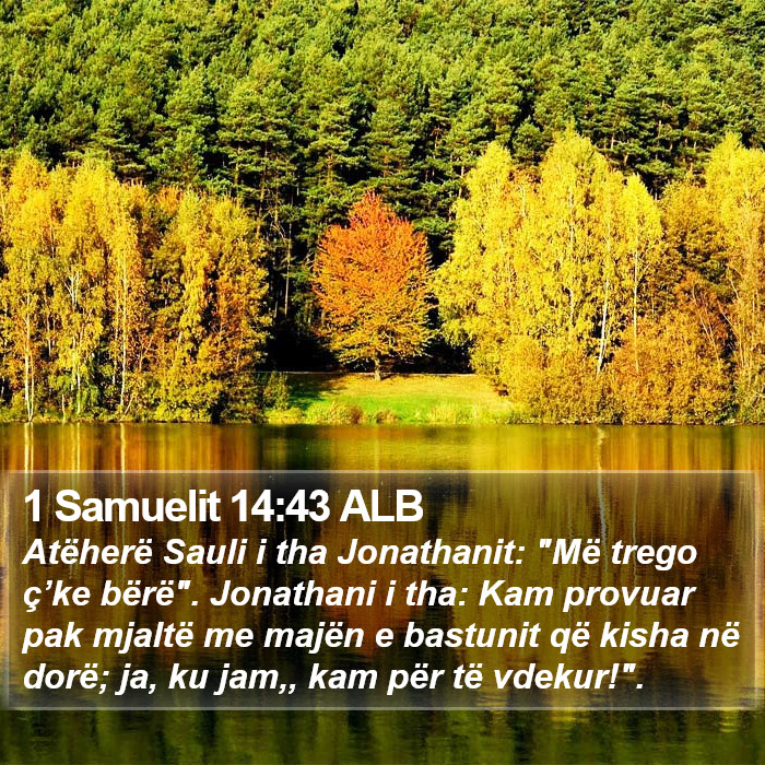 1 Samuelit 14:43 ALB Bible Study